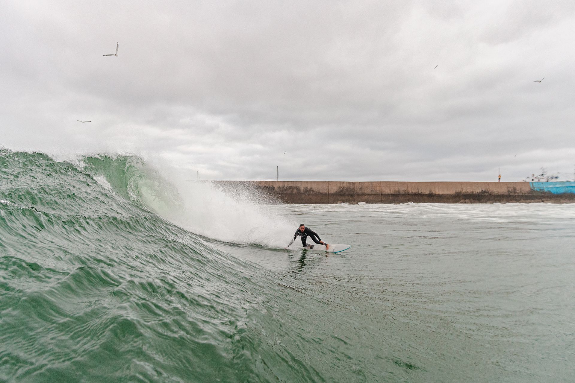 Surfer setting a rail under the wave’s spray with the harbour wall and a fishing boat behind.